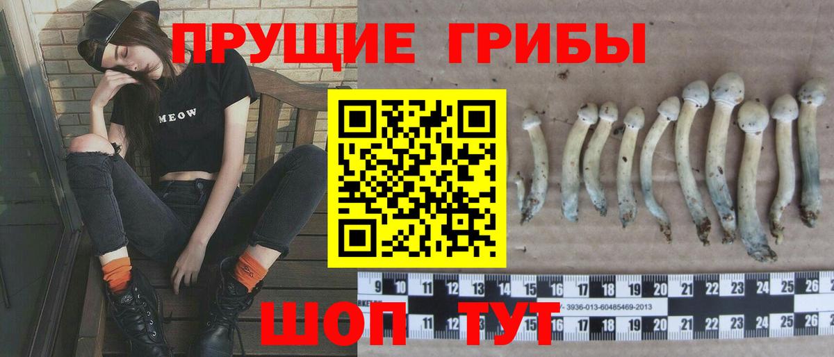 Псилоцибиновые грибы ЛСД Сыктывкар